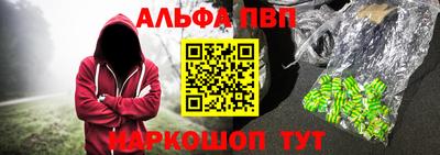 индика Камень-на-Оби