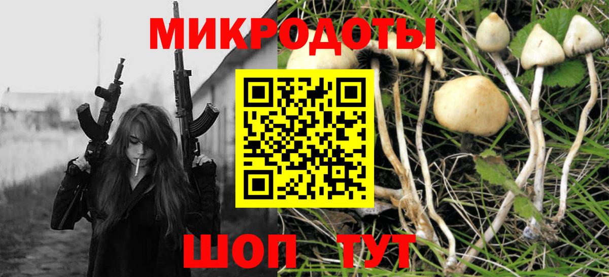 Котлас  купить   Вход с VPN  Псилоцибиновые грибы Psilocybine cubensis  Галлюциногенные грибы прущие грибы 